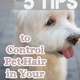 Illustration for article titled How to Control Dog and Cat Hairs in the House ?